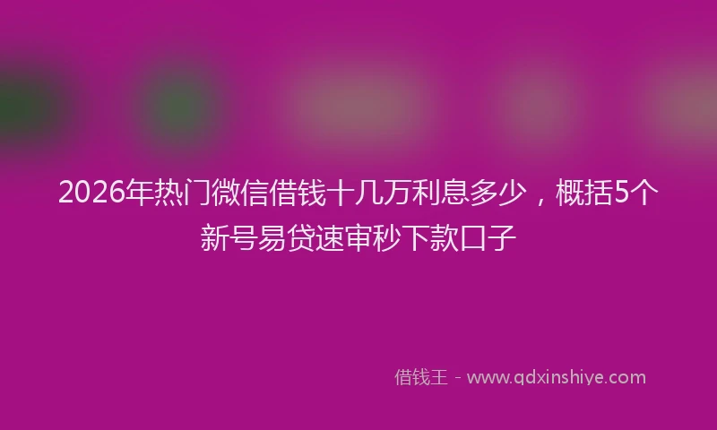 2026年热门微信借钱十几万利息多少，概括5个新号易贷速审秒下款口子