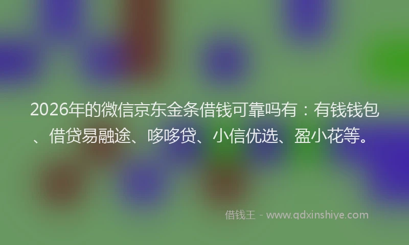 2026年的微信京东金条借钱可靠吗有：有钱钱包、借贷易融途、哆哆贷、小信优选、盈小花等。