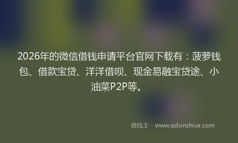2026年的微信借钱申请平台官网下载有：菠萝钱包、借款宝贷、洋洋借呗、现金易融宝贷途、小油菜P2P等。
