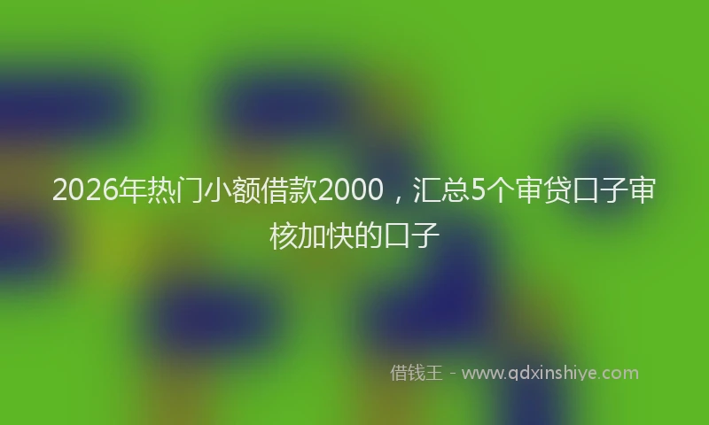 2026年热门小额借款2000,汇总5个审贷口子审核加快的口子