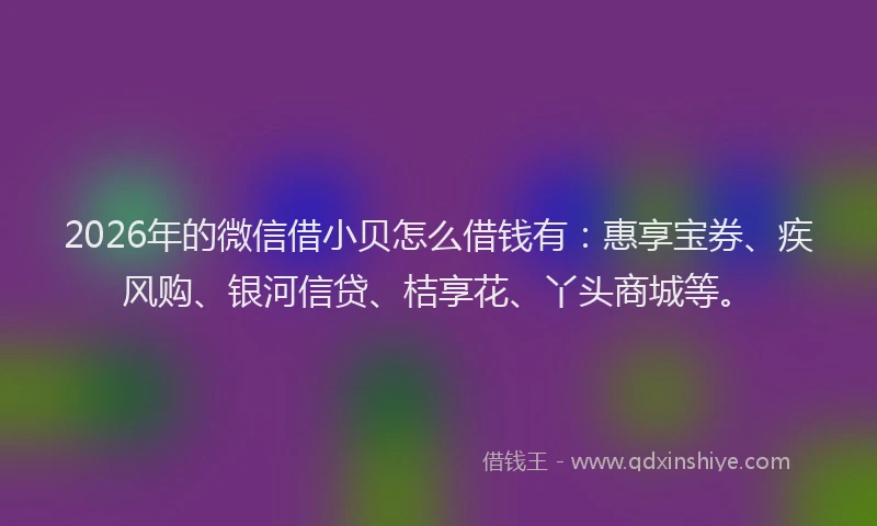 2026年的微信借小贝怎么借钱有:惠享宝券、疾风购、银河信贷、桔享花、丫头商城等。