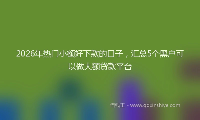 2026年热门小额好下款的口子，汇总5个黑户可以做大额贷款平台