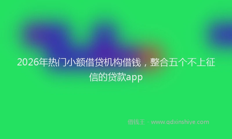 2026年热门小额借贷机构借钱，整合五个不上征信的贷款app