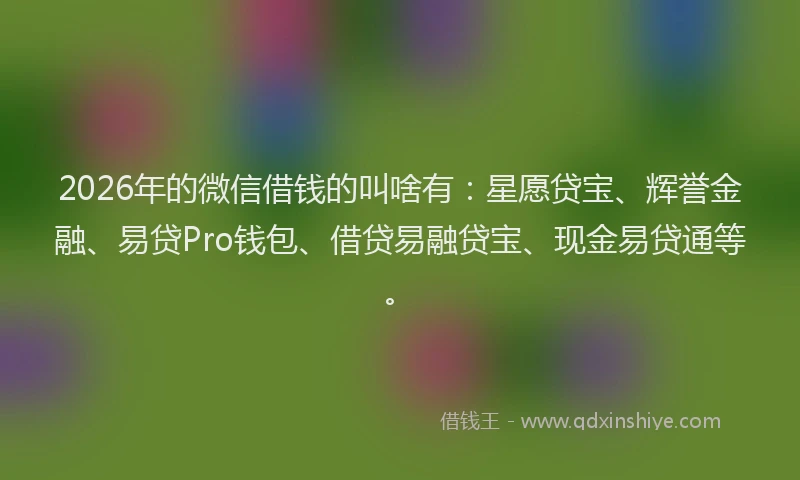 2026年的微信借钱的叫啥有：星愿贷宝、辉誉金融、易贷Pro钱包、借贷易融贷宝、现金易贷通等。