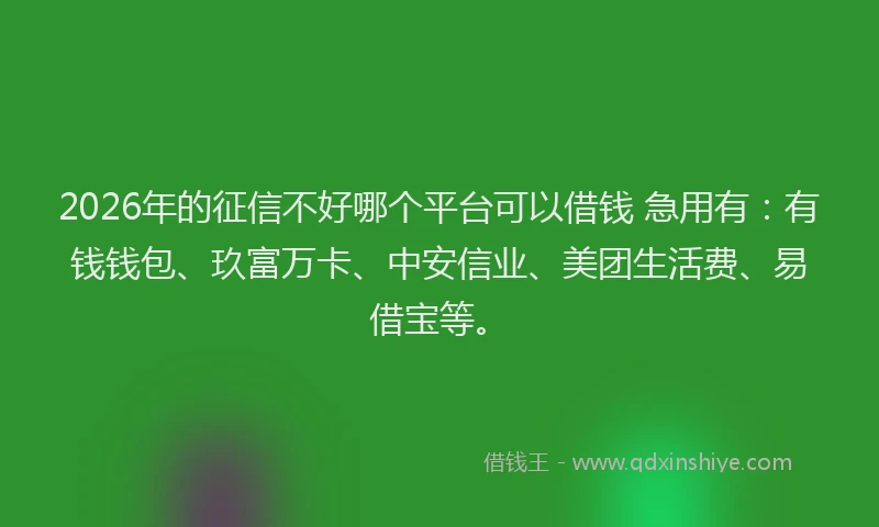 2026年的征信不好哪个平台可以借钱 急用有:有钱钱包、玖富万卡、中安信业、美团生活费、易借宝等。