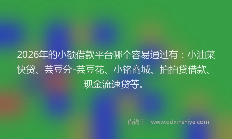 2026年的小额借款平台哪个容易通过有：小油菜快贷、芸豆分-芸豆花、小铭商城、拍拍贷借款、现金流速贷等。