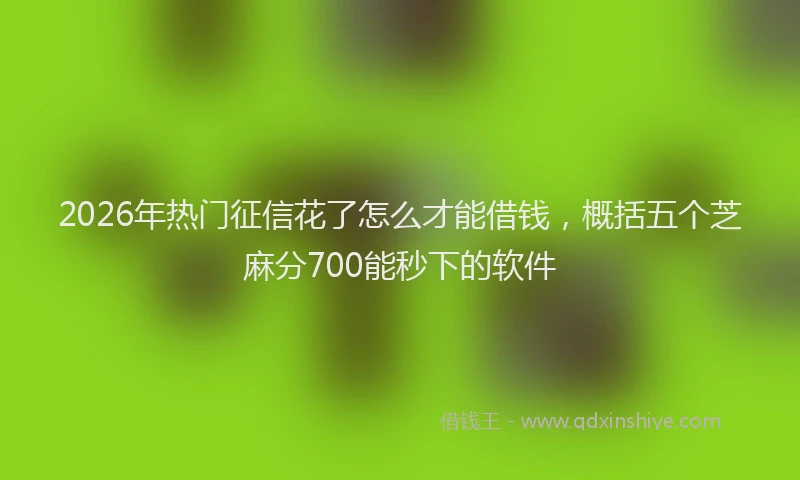 2026年热门征信花了怎么才能借钱，概括五个芝麻分700能秒下的软件