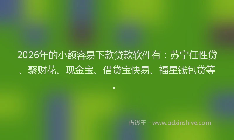2026年的小额容易下款贷款软件有：苏宁任性贷、聚财花、现金宝、借贷宝快易、福星钱包贷等。