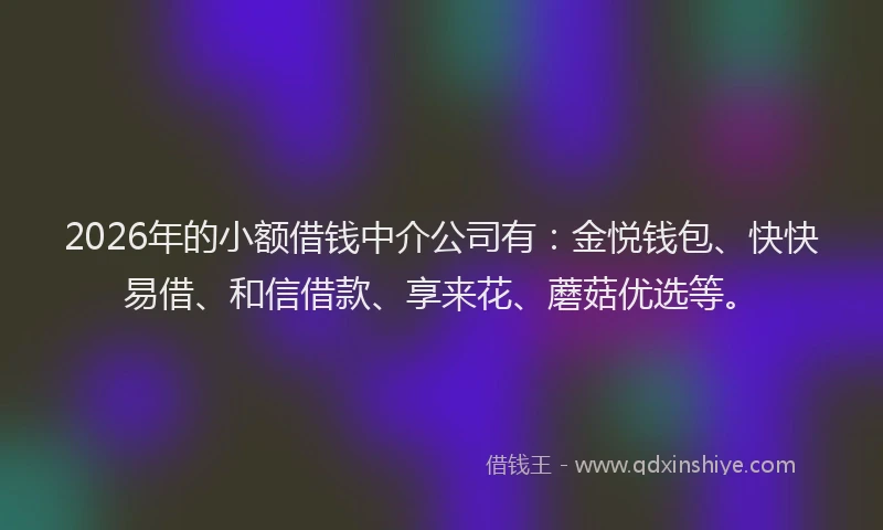 2026年的小额借钱中介公司有:金悦钱包、快快易借、和信借款、享来花、蘑菇优选等。
