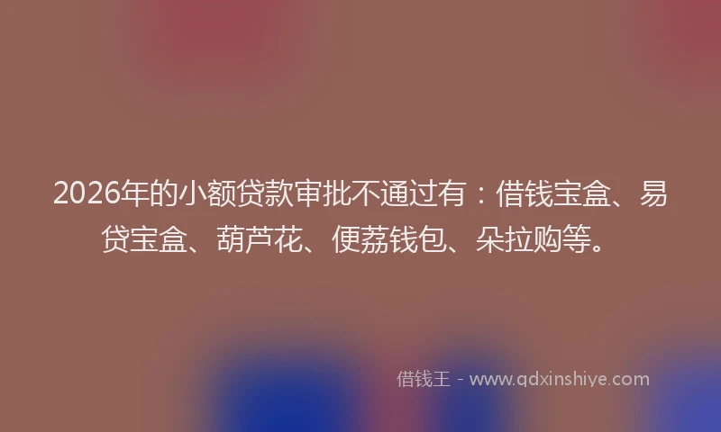 2026年的小额贷款审批不通过有：借钱宝盒、易贷宝盒、葫芦花、便荔钱包、朵拉购等。