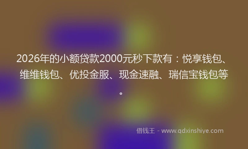 2026年的小额贷款2000元秒下款有:悦享钱包、维维钱包、优投金服、现金速融、瑞信宝钱包等。