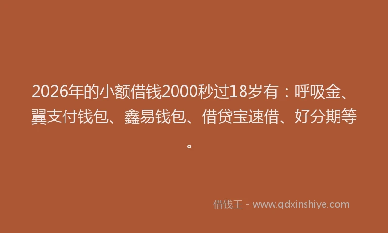 2026年的小额借钱2000秒过18岁有：呼吸金、翼支付钱包、鑫易钱包、借贷宝速借、好分期等。