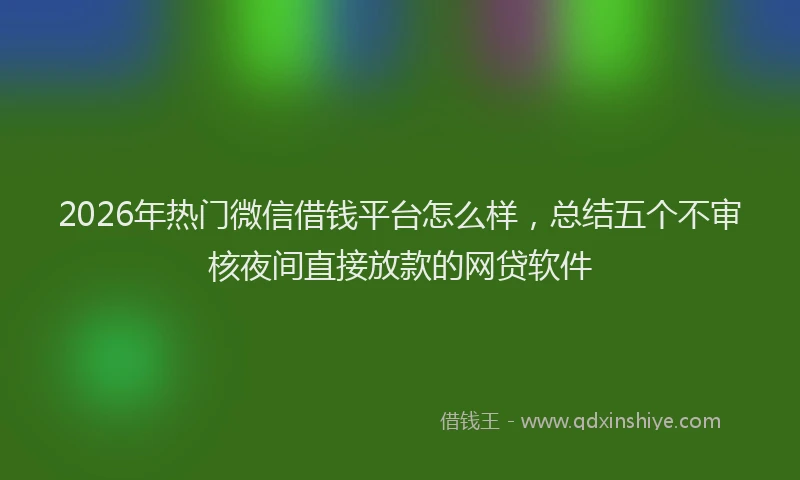 2026年热门微信借钱平台怎么样，总结五个不审核夜间直接放款的网贷软件