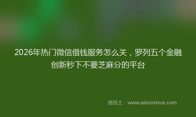 2026年热门微信借钱服务怎么关，罗列五个金融创新秒下不要芝麻分的平台