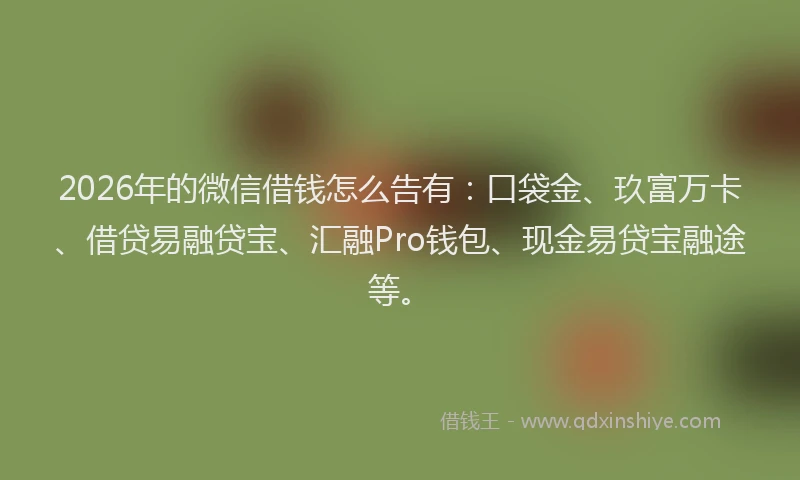 2026年的微信借钱怎么告有:口袋金、玖富万卡、借贷易融贷宝、汇融Pro钱包、现金易贷宝融途等。
