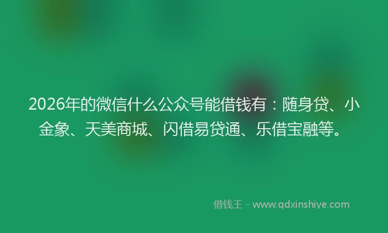 2026年的微信什么公众号能借钱有：随身贷、小金象、天美商城、闪借易贷通、乐借宝融等。