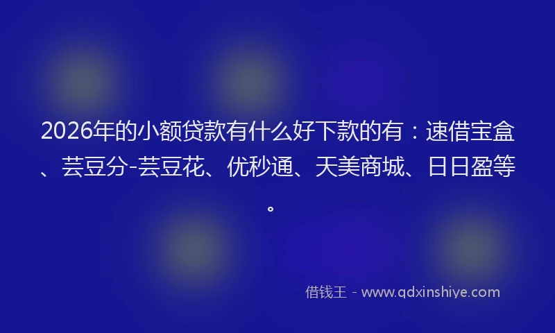 2026年的小额贷款有什么好下款的有：速借宝盒、芸豆分-芸豆花、优秒通、天美商城、日日盈等。
