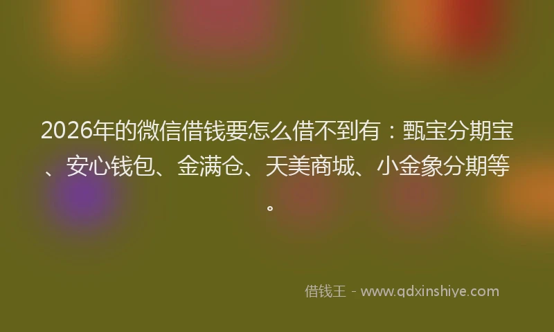 2026年的微信借钱要怎么借不到有：甄宝分期宝、安心钱包、金满仓、天美商城、小金象分期等。