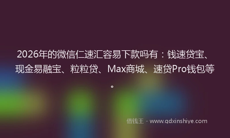 2026年的微信仁速汇容易下款吗有：钱速贷宝、现金易融宝、粒粒贷、Max商城、速贷Pro钱包等。