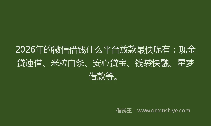 2026年的微信借钱什么平台放款最快呢有：现金贷速借、米粒白条、安心贷宝、钱袋快融、星梦借款等。