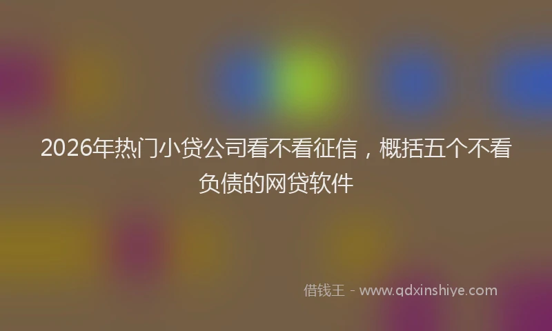 2026年热门小贷公司看不看征信，概括五个不看负债的网贷软件