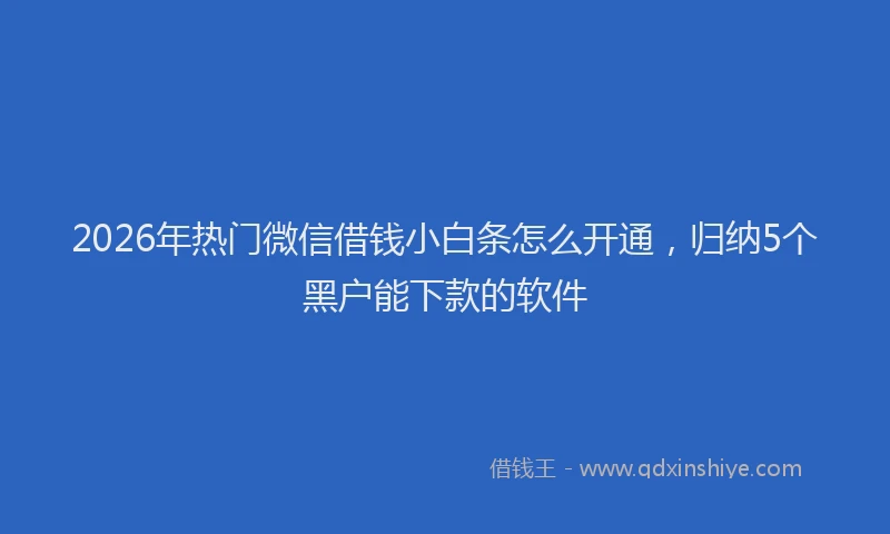 2026年热门微信借钱小白条怎么开通，归纳5个黑户能下款的软件