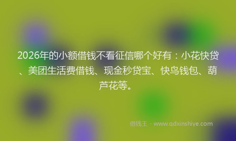 2026年的小额借钱不看征信哪个好有：小花快贷、美团生活费借钱、现金秒贷宝、快鸟钱包、葫芦花等。