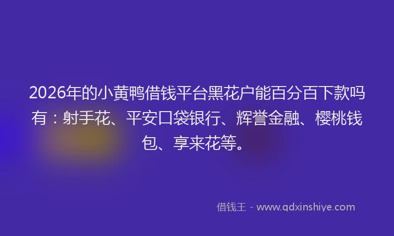 2026年的小黄鸭借钱平台黑花户能百分百下款吗有：射手花、平安口袋银行、辉誉金融、樱桃钱包、享来花等。