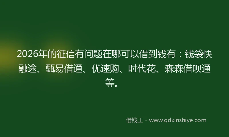 2026年的征信有问题在哪可以借到钱有：钱袋快融途、甄易借通、优速购、时代花、森森借呗通等。