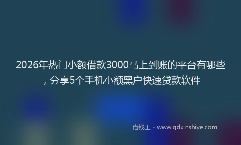 2026年热门小额借款3000马上到账的平台有哪些，分享5个手机小额黑户快速贷款软件