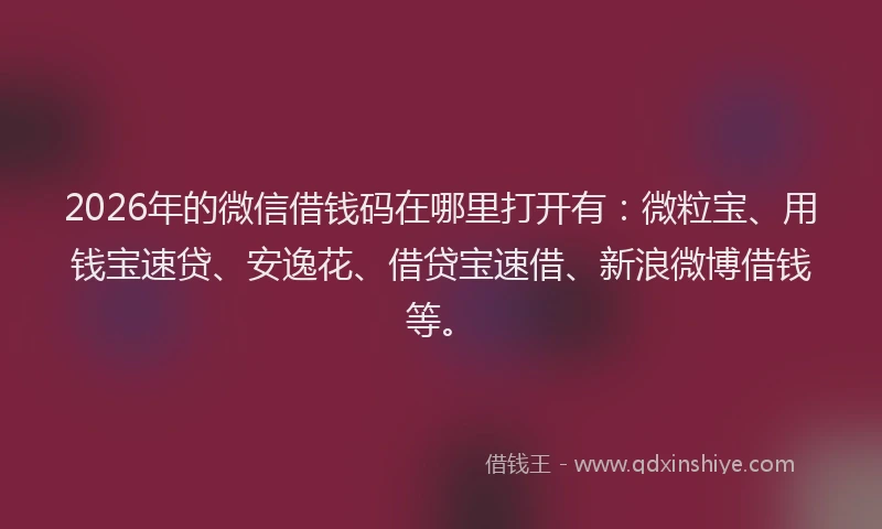 2026年的微信借钱码在哪里打开有:微粒宝、用钱宝速贷、安逸花、借贷宝速借、新浪微博借钱等。
