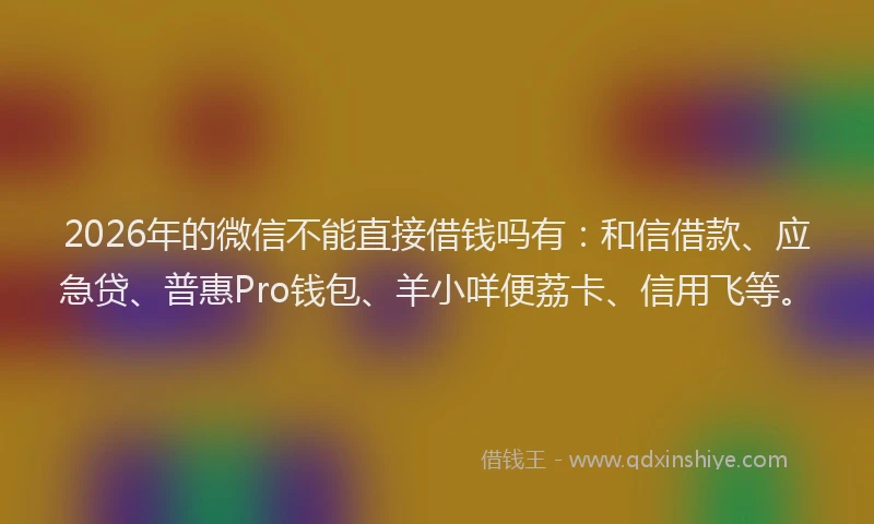 2026年的微信不能直接借钱吗有：和信借款、应急贷、普惠Pro钱包、羊小咩便荔卡、信用飞等。