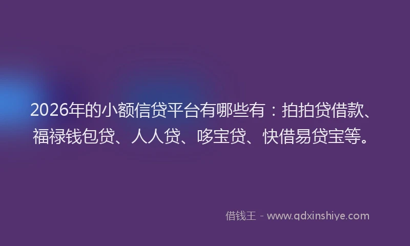 2026年的小额信贷平台有哪些有：拍拍贷借款、福禄钱包贷、人人贷、哆宝贷、快借易贷宝等。