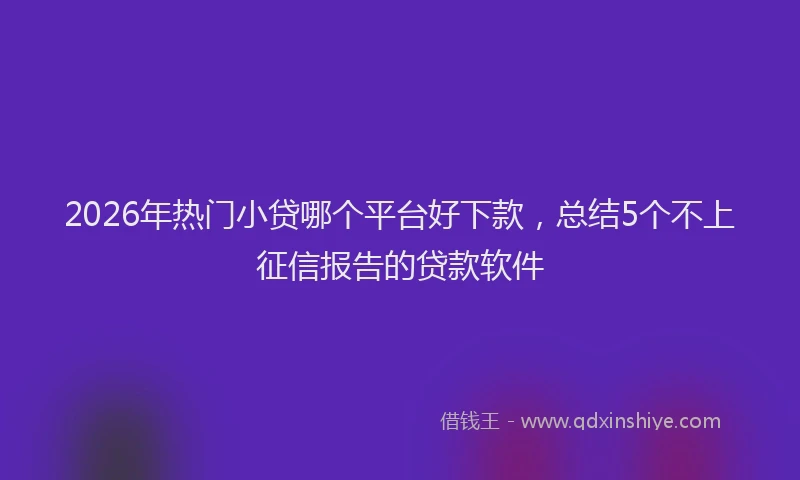 2026年热门小贷哪个平台好下款，总结5个不上征信报告的贷款软件