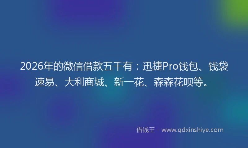 2026年的微信借款五千有：迅捷Pro钱包、钱袋速易、大利商城、新一花、森森花呗等。