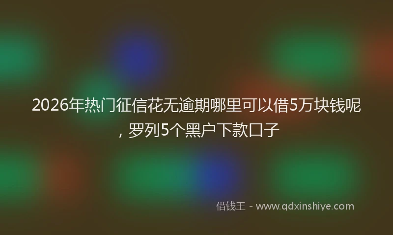 2026年热门征信花无逾期哪里可以借5万块钱呢，罗列5个黑户下款口子