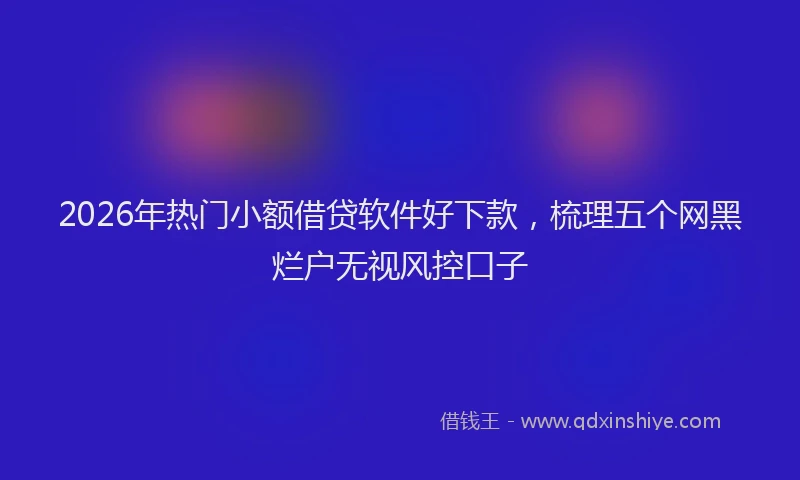 2026年热门小额借贷软件好下款，梳理五个网黑烂户无视风控口子