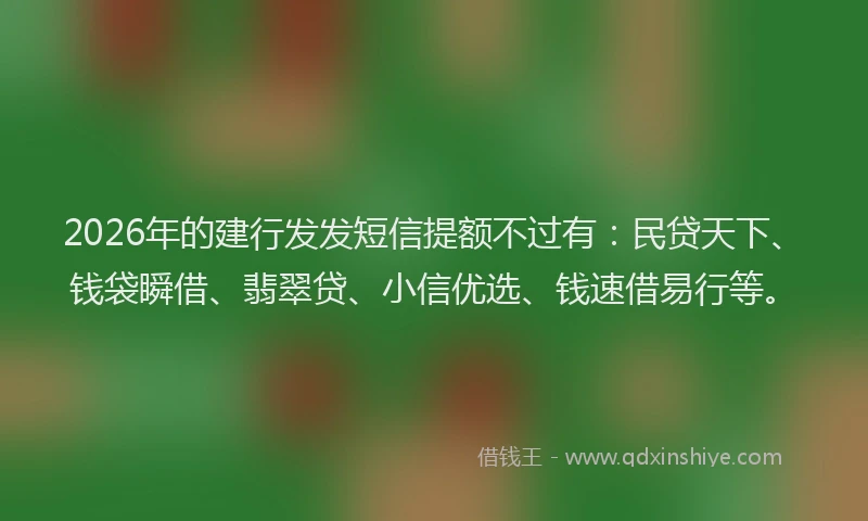 2026年的建行发发短信提额不过有：民贷天下、钱袋瞬借、翡翠贷、小信优选、钱速借易行等。