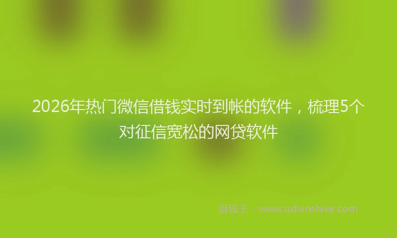 2026年热门微信借钱实时到帐的软件，梳理5个对征信宽松的网贷软件