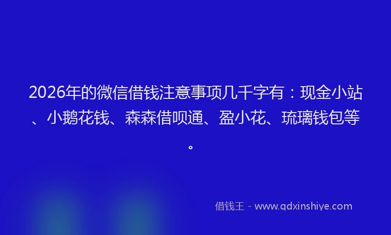 2026年的微信借钱注意事项几千字有：现金小站、小鹅花钱、森森借呗通、盈小花、琉璃钱包等。