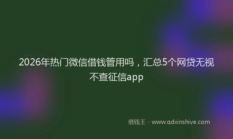 2026年热门微信借钱管用吗，汇总5个网贷无视不查征信app