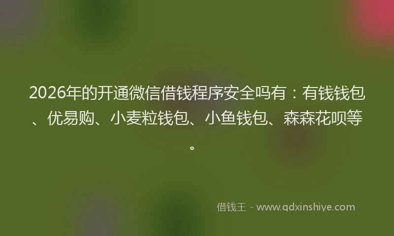 2026年的开通微信借钱程序安全吗有：有钱钱包、优易购、小麦粒钱包、小鱼钱包、森森花呗等。