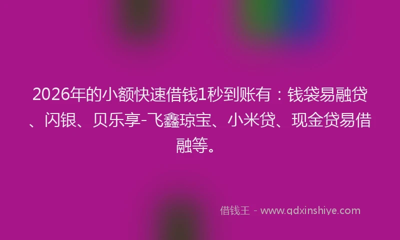 2026年的小额快速借钱1秒到账有：钱袋易融贷、闪银、贝乐享-飞鑫琼宝、小米贷、现金贷易借融等。