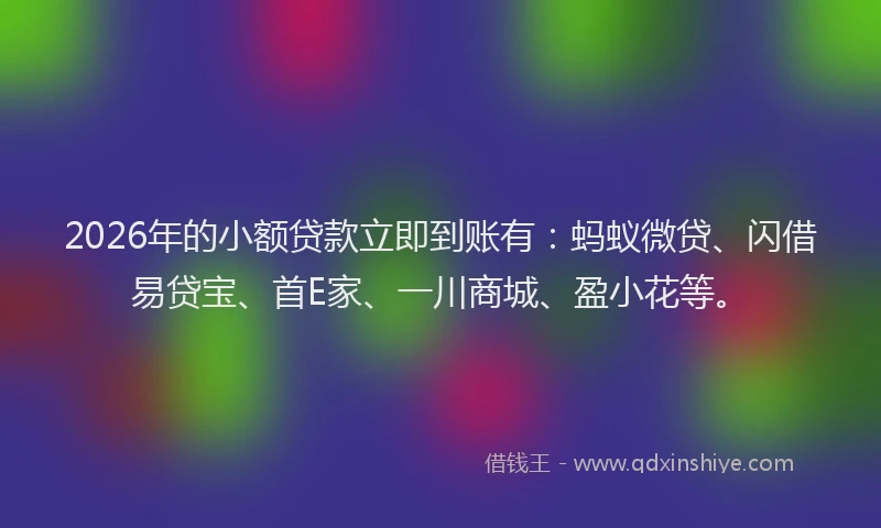 2026年的小额贷款立即到账有：蚂蚁微贷、闪借易贷宝、首E家、一川商城、盈小花等。