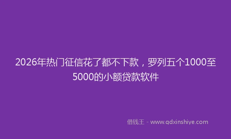2026年热门征信花了都不下款，罗列五个1000至5000的小额贷款软件