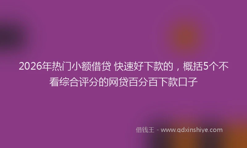 2026年热门小额借贷 快速好下款的，概括5个不看综合评分的网贷百分百下款口子