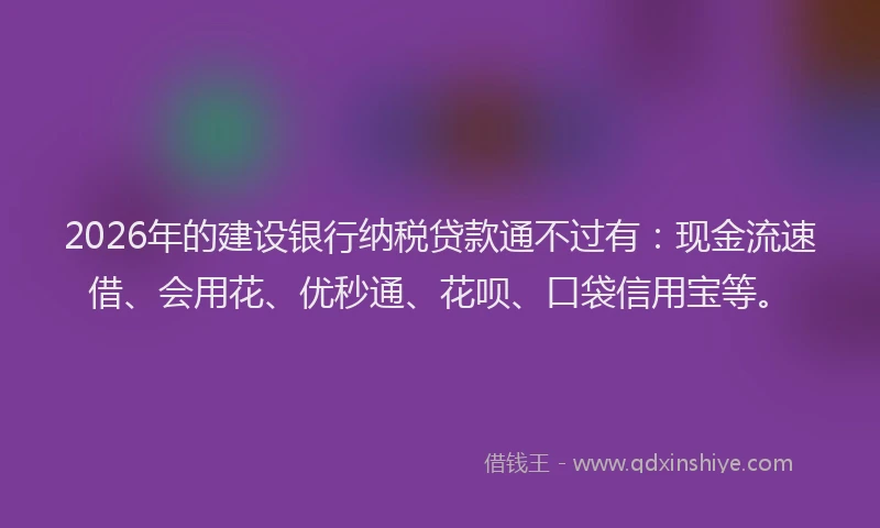 2026年的建设银行纳税贷款通不过有：现金流速借、会用花、优秒通、花呗、口袋信用宝等。