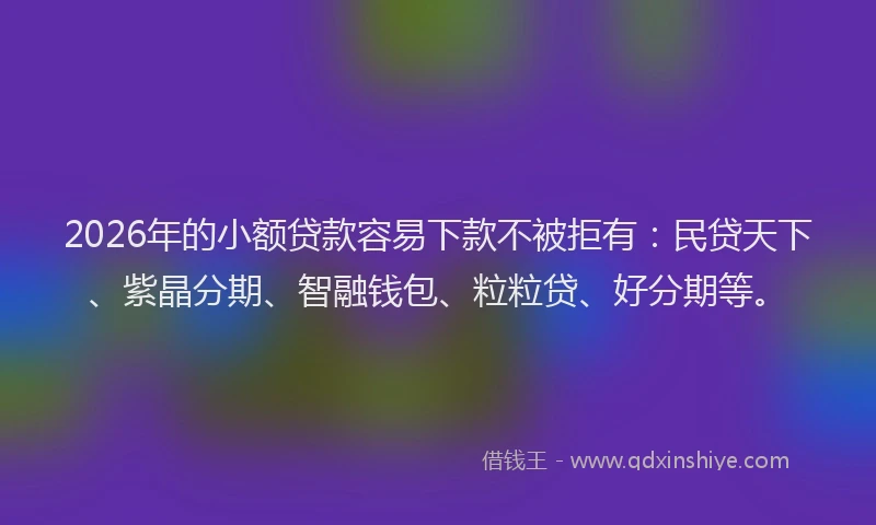 2026年的小额贷款容易下款不被拒有：民贷天下、紫晶分期、智融钱包、粒粒贷、好分期等。