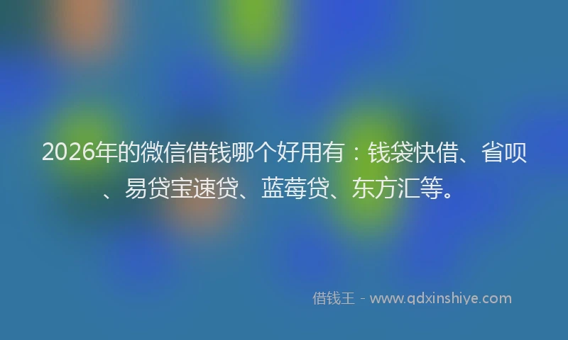 2026年的微信借钱哪个好用有：钱袋快借、省呗、易贷宝速贷、蓝莓贷、东方汇等。