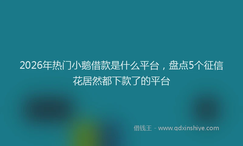 2026年热门小鹅借款是什么平台，盘点5个征信花居然都下款了的平台